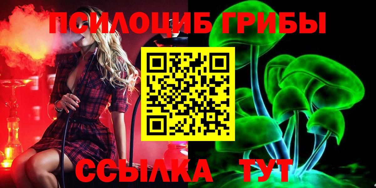 Галлюциногенные грибы Magic Shrooms Новодвинск