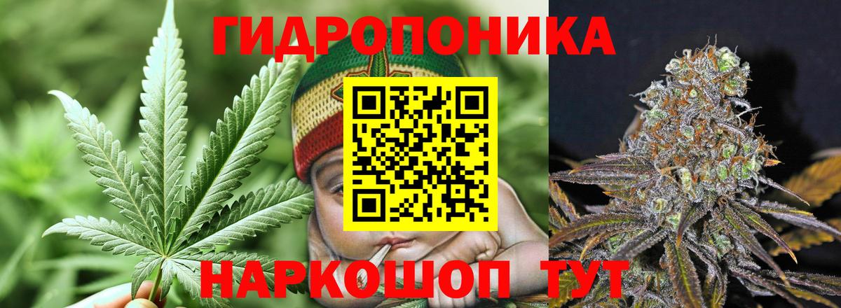 Новодвинск  Конопля White Widow  Вход с VPN  Канабис Ganja  Шишки марихуана MAZAR 